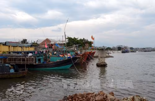 Quảng Ninh phòng chống mưa lũ và sạt lở ảnh 2