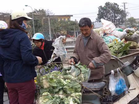 Nông dân buồn thiu vì giá rau quá rẻ ảnh 1