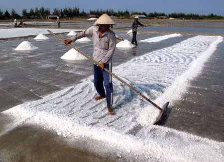 Tết buồn của người làm muối ảnh 1