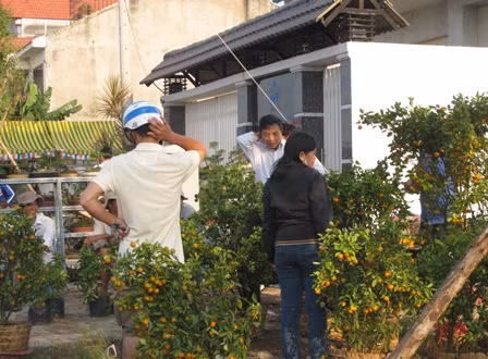 Nhộn nhịp sắm hoa, cây cảnh chiều 30 Tết ảnh 6