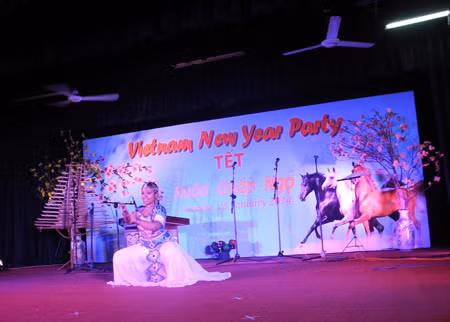 Đại sứ quán Việt Nam tại Sri Lanka mừng Xuân ảnh 5