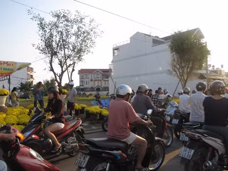 Nhộn nhịp sắm hoa, cây cảnh chiều 30 Tết ảnh 2