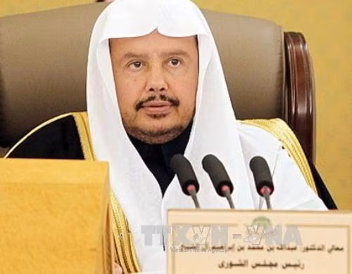 Chủ tịch Quốc hội Saudi Arabia thăm chính thức Việt Nam ảnh 1