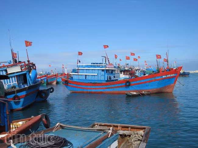 Xiêu lòng trước vẻ đẹp của Lý Sơn ảnh 9