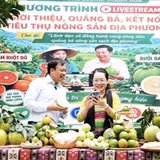 Đưa nông sản từ chợ quê lên chợ số