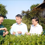 Đưa văn hóa trà Thái Nguyên vươn tầm quốc tế