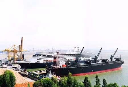 Cảng Đà Nẵng tiếp nhận số lượng lớn tàu container và tàu du lịch ảnh 1