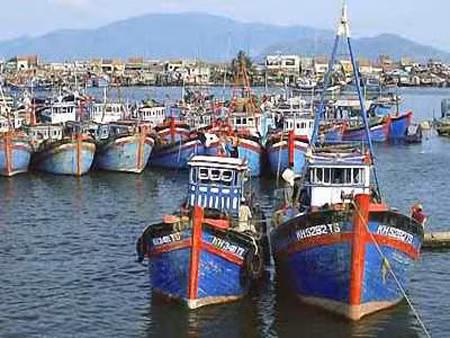 Hỗ trợ mua bảo hiểm cho các tàu đánh bắt xa bờ ảnh 1