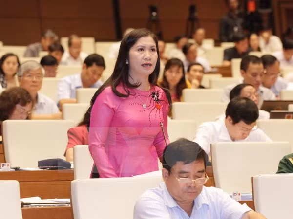 Bình đẳng giới thực chất trong bầu cử ảnh 1