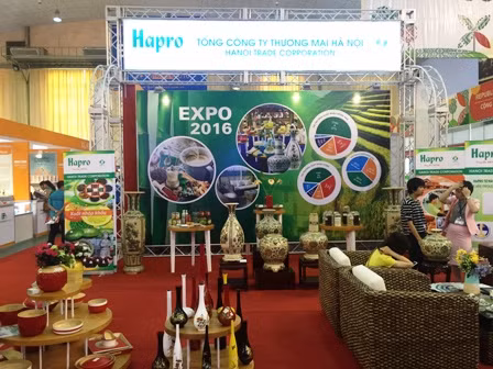 Vietnam Expo 2016 thu hút hơn 500 doanh nghiệp tham gia ảnh 2