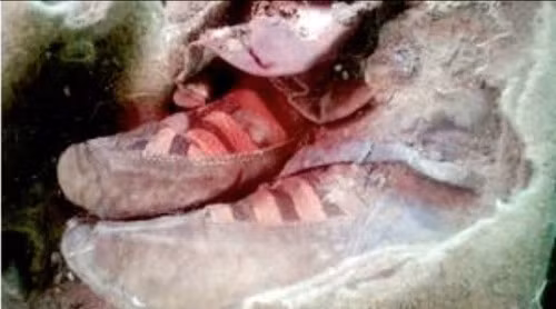 Xác ướp cổ đại đi giày Adidas? ảnh 1