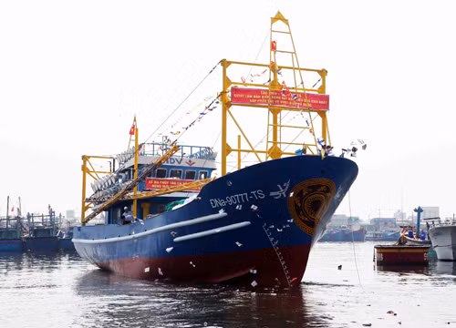 Những băn khoăn của ngư dân Quảng Nam ảnh 1