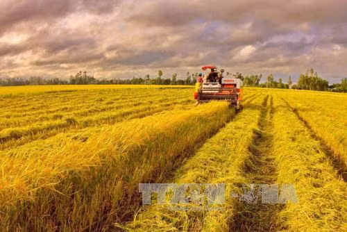 WTO nhấn mạnh Việt Nam đang đi đúng hướng ảnh 2