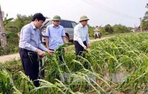 Giông lốc, mưa đá gây thiệt hại nặng tại Thái Nguyên ảnh 2