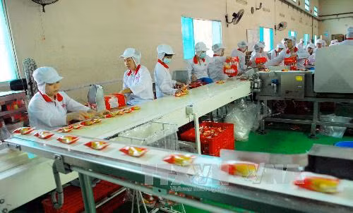Doanh nghiệp Việt trước nguy cơ bị thôn tính ảnh 1