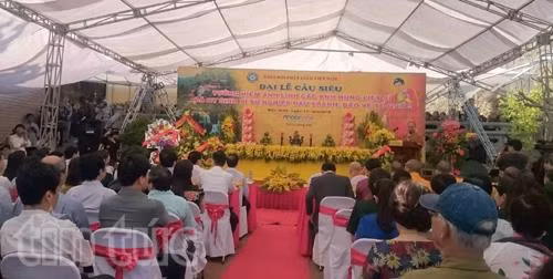 Đại lễ cầu siêu tưởng niệm anh linh các anh hùng liệt sỹ ảnh 3