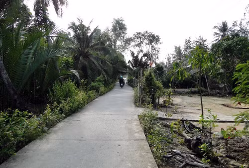 Khởi sắc vùng đồng bào dân tộc Khmer ảnh 1