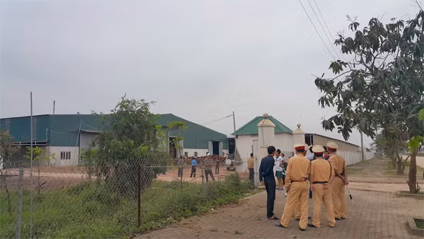 Nổ nồi hơi ở Nghệ An, nhiều người bị thương nặng ảnh 1