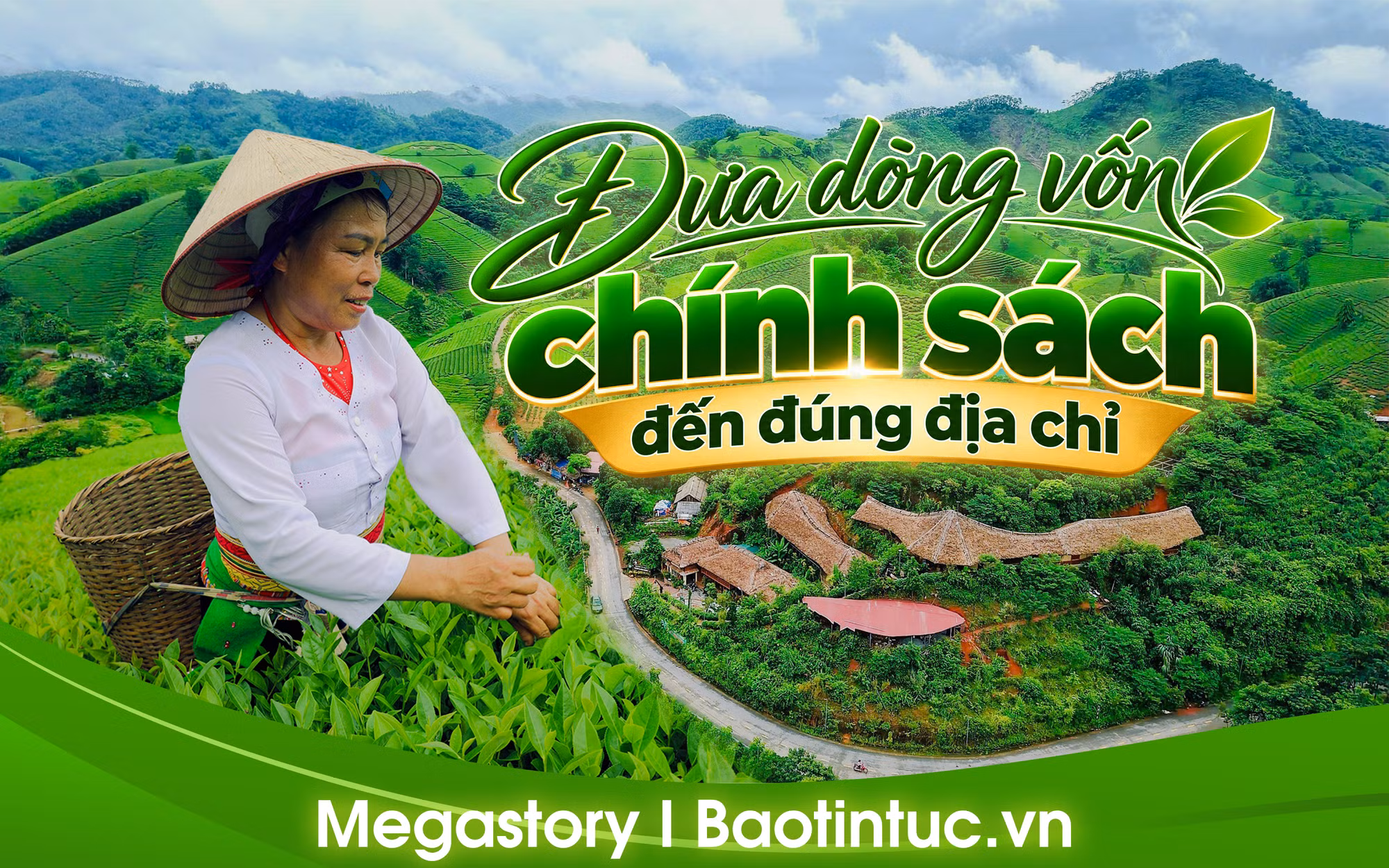 cover2.png