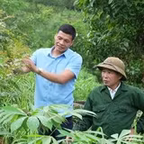 Những mô hình kinh tế mở hướng làm giàu ở miền núi Hà Tĩnh