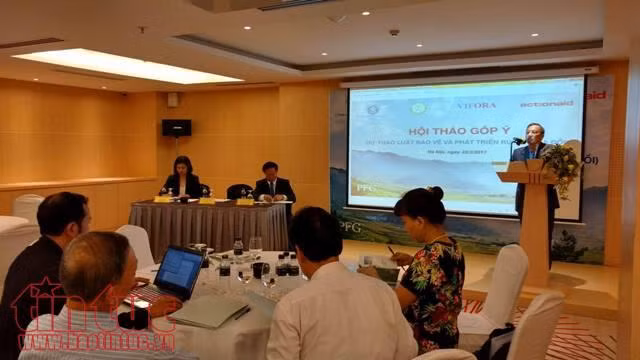 Chuyển nhượng đất rừng diễn ra phổ biến ảnh 1