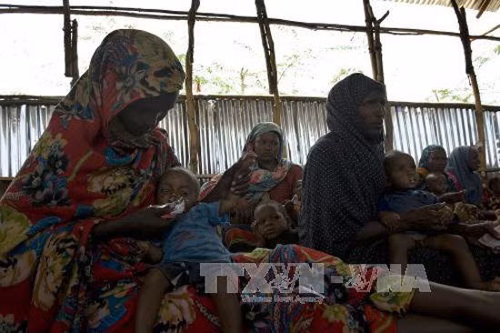3000 người Somalia sơ tán mỗi ngày do hạn hán nghiêm trọng ảnh 1