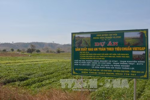 Chư Pưh - từ vùng lõm thành vùng kinh tế động lực ảnh 2