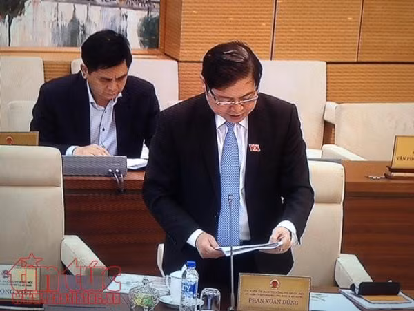Bộ trưởng Nguyễn Xuân Cường: Thành lập kiểm ngư cấp tỉnh ‘không quá nặng nề về biên chế’ ảnh 1