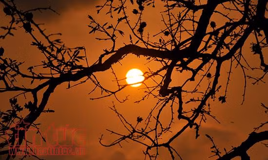Hồ Gươm lãng mạn mùa lá đỏ trong chiều vàng ảnh 2