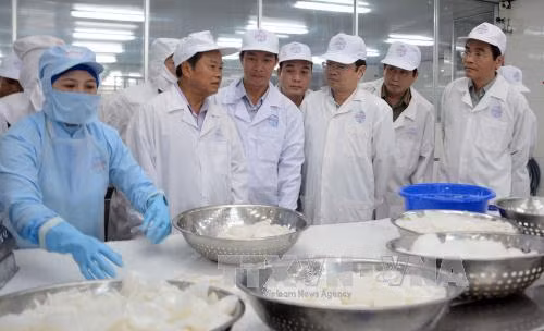 Phó Chủ tịch Quốc hội Đỗ Bá Tỵ làm việc tại tỉnh Kiên Giang ảnh 2
