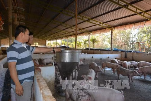 Chư Pưh - từ vùng lõm thành vùng kinh tế động lực ảnh 1