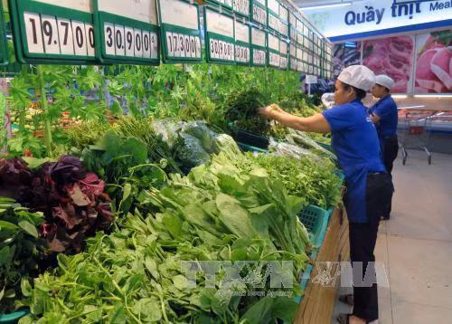 Tìm giải pháp phát triển nông nghiệp sạch ảnh 1