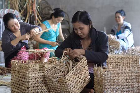 12.600 tỷ đồng đào tạo nghề lao động nông thôn giai đoạn 2016 - 2020 ảnh 1