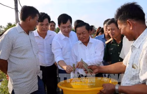  Cà Mau cần chú trọng phát triển kinh tế biển gắn với đảm bảo quốc phòng, an ninh ảnh 1
