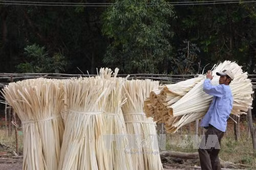 Đến 'thiên đường' chế biến lá buông nơi biên giới ảnh 8