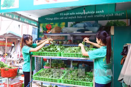 Hoàn thiện thể chế hướng tới nền nông nghiệp bền vững ảnh 1