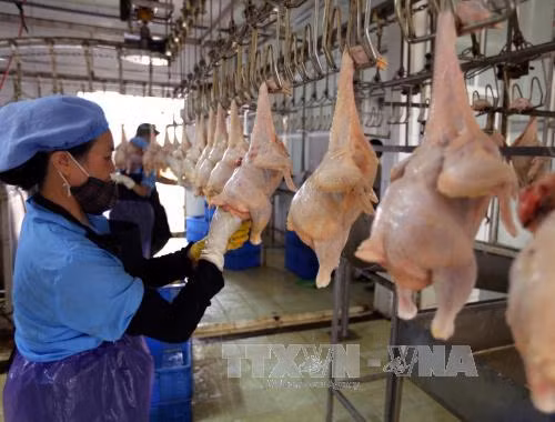 Lắng nghe ý kiến của quốc tế để quản lý an toàn thực phẩm ảnh 2