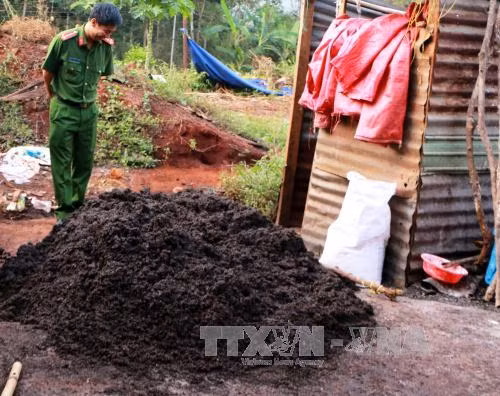 Xử lý vụ 'hô biến' tiêu lép thành tiêu thành phẩm tốt ở Bình Phước ảnh 1