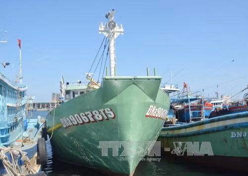 Khởi nghiệp trên những con tàu dịch vụ hậu cần nghề cá ảnh 2