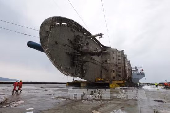 Di hài được tìm thấy từ phà Sewol Hàn Quốc không phải của người ảnh 1