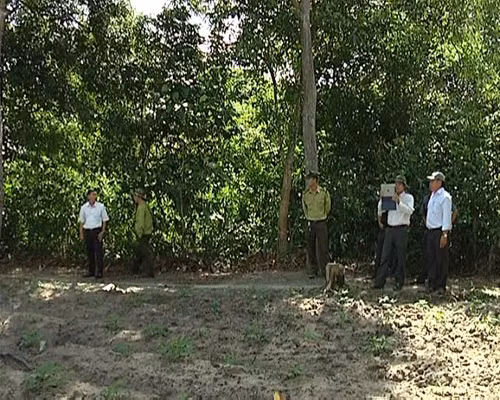 Tràn lan lấn chiếm đất rừng ở Khu Bảo tồn thiên nhiên Bình Châu - Phước Bửu ảnh 1