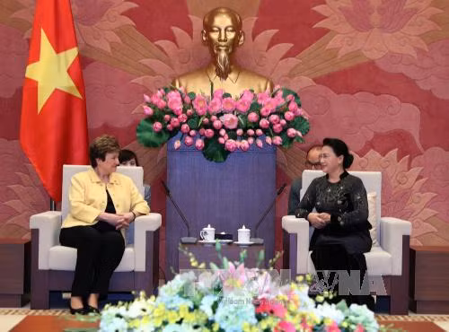 Chủ tịch Quốc hội tiếp Tổng Giám đốc điều hành Ngân hàng Thế giới ảnh 1
