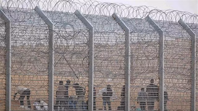  Israel bắt đầu dựng tường rào dọc biên giới giáp Jordan ảnh 1