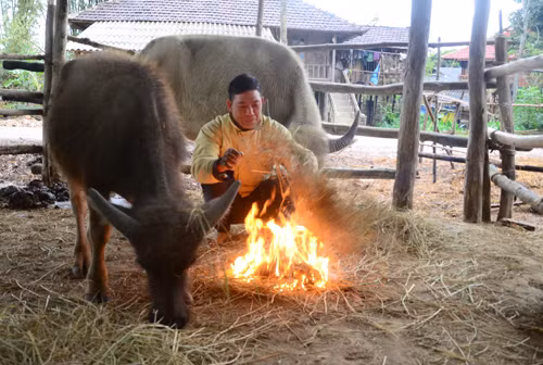 Rét kỷ lục 30 năm, băng tuyết phủ nhiều nơi ảnh 1