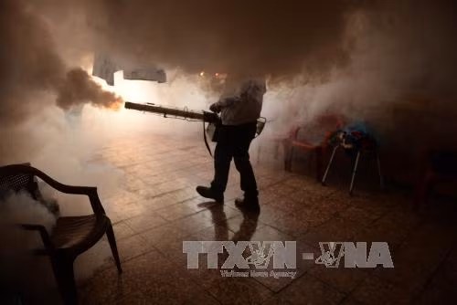 Brazil đẩy mạnh ngăn chặn dịch bệnh do virus Zika ảnh 1