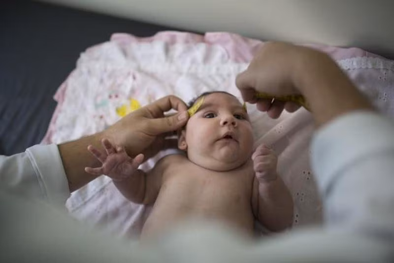 Nhiều ca nhiễm virus Zika tại châu Âu ảnh 1