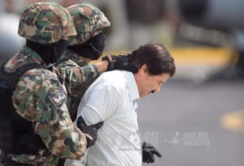 Mexico bắt được trùm ma túy El Chapo ảnh 1