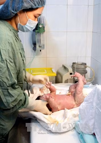 Những điều chưa biết về thực hiện kỹ thuật mang thai hộ ở Việt Nam ảnh 2