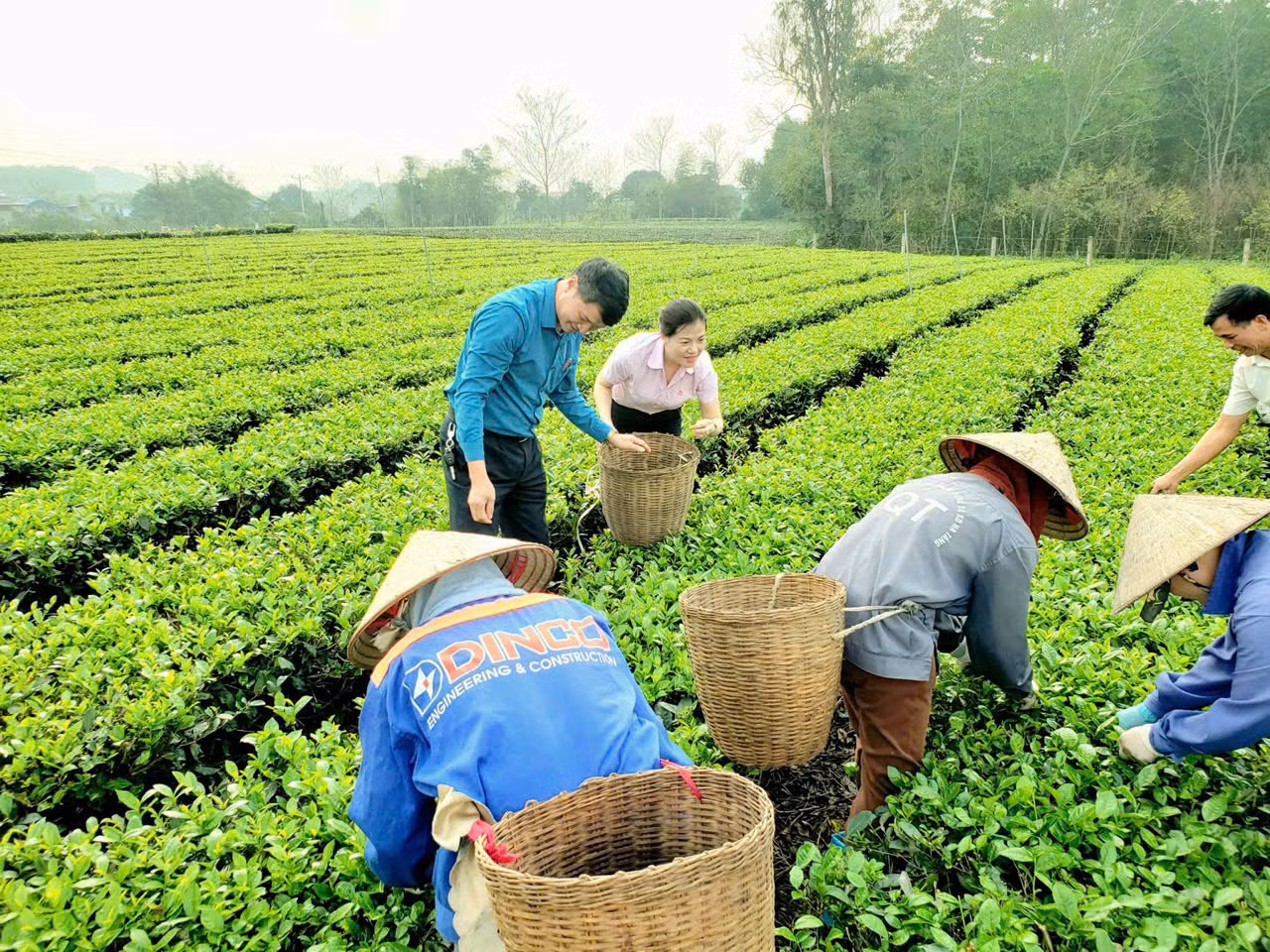 Chú thích ảnh