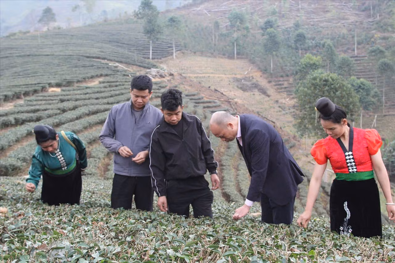 Chú thích ảnh
